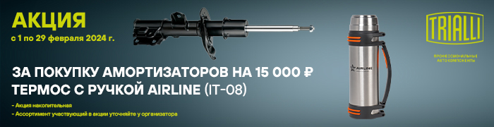 амортизаторы февраль 700х180